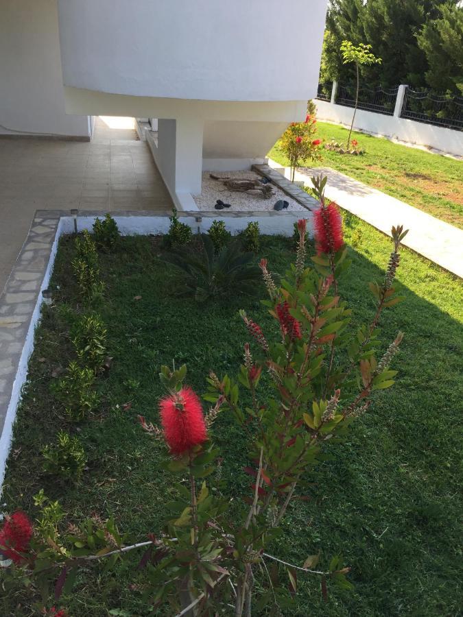 Simplicity At Iris Accommodation Psakoudia Exterior photo